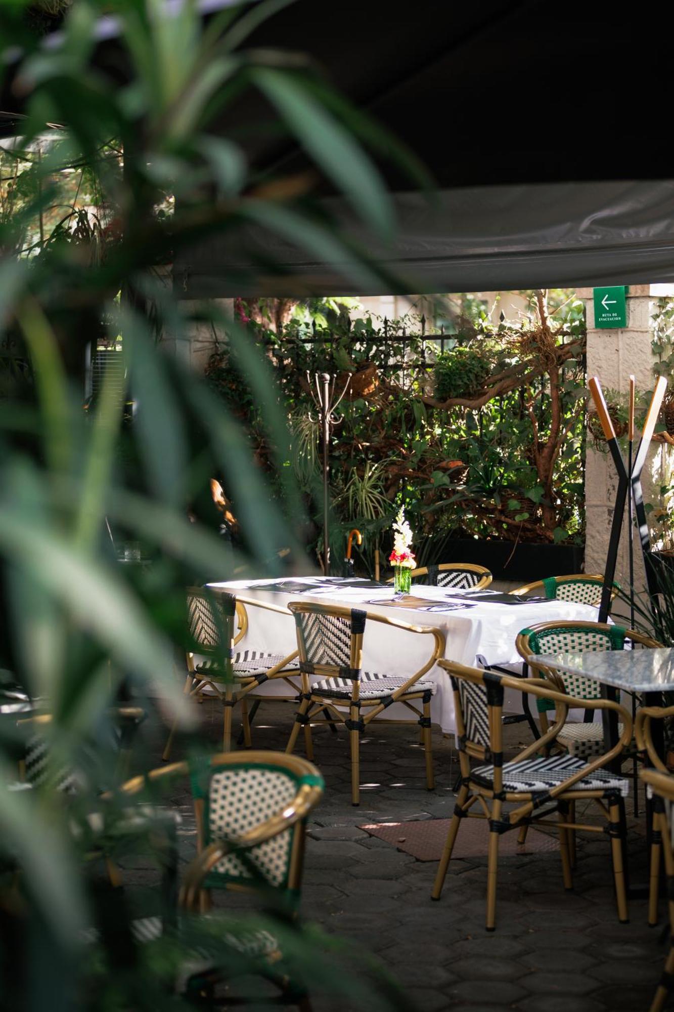 Orchid House Polanco Ξενοδοχείο Μεξικό Εξωτερικό φωτογραφία