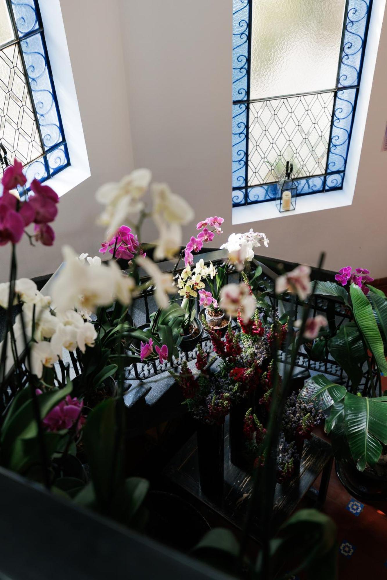 Orchid House Polanco Ξενοδοχείο Μεξικό Εξωτερικό φωτογραφία