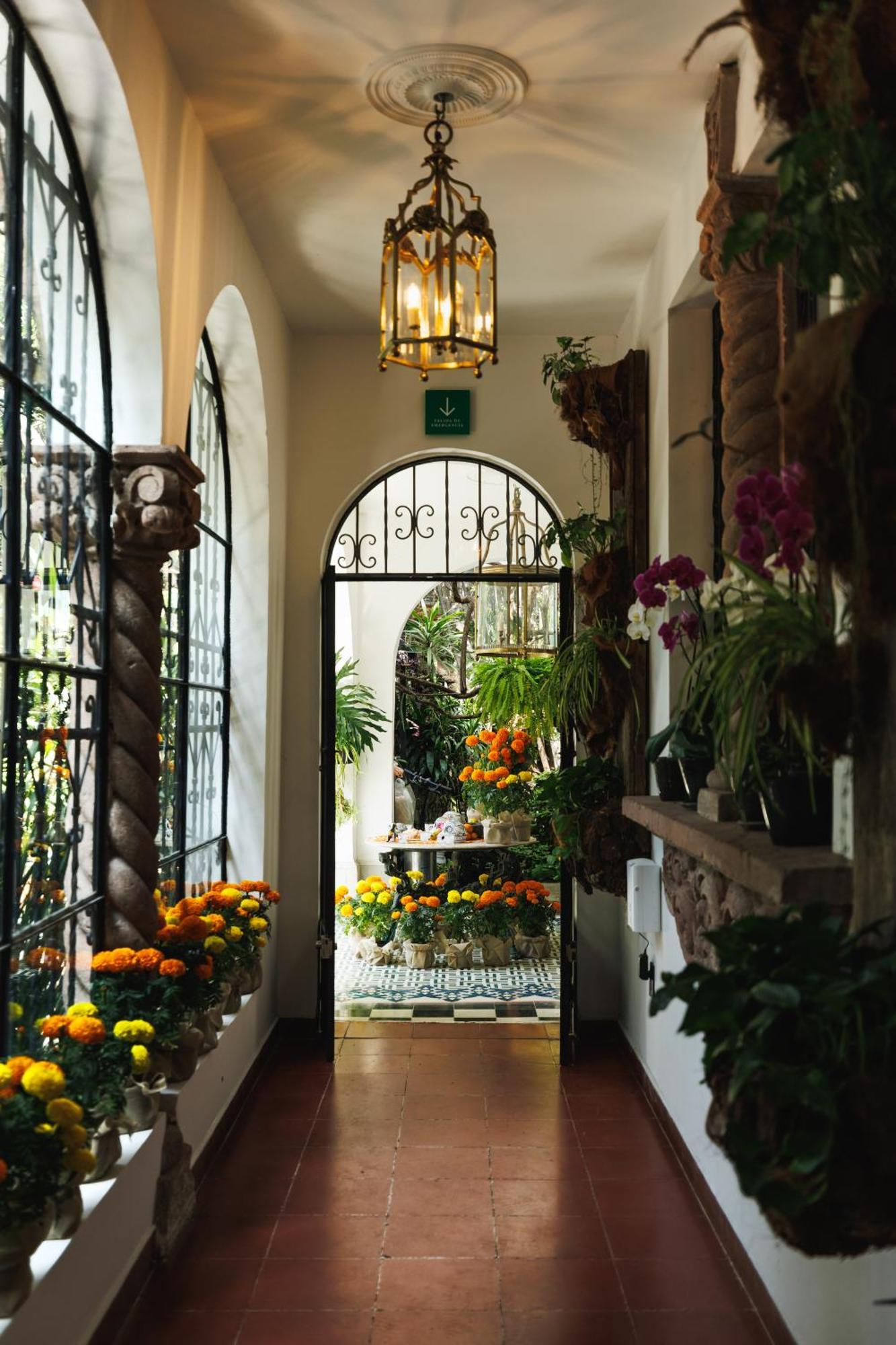 Orchid House Polanco Ξενοδοχείο Μεξικό Εξωτερικό φωτογραφία