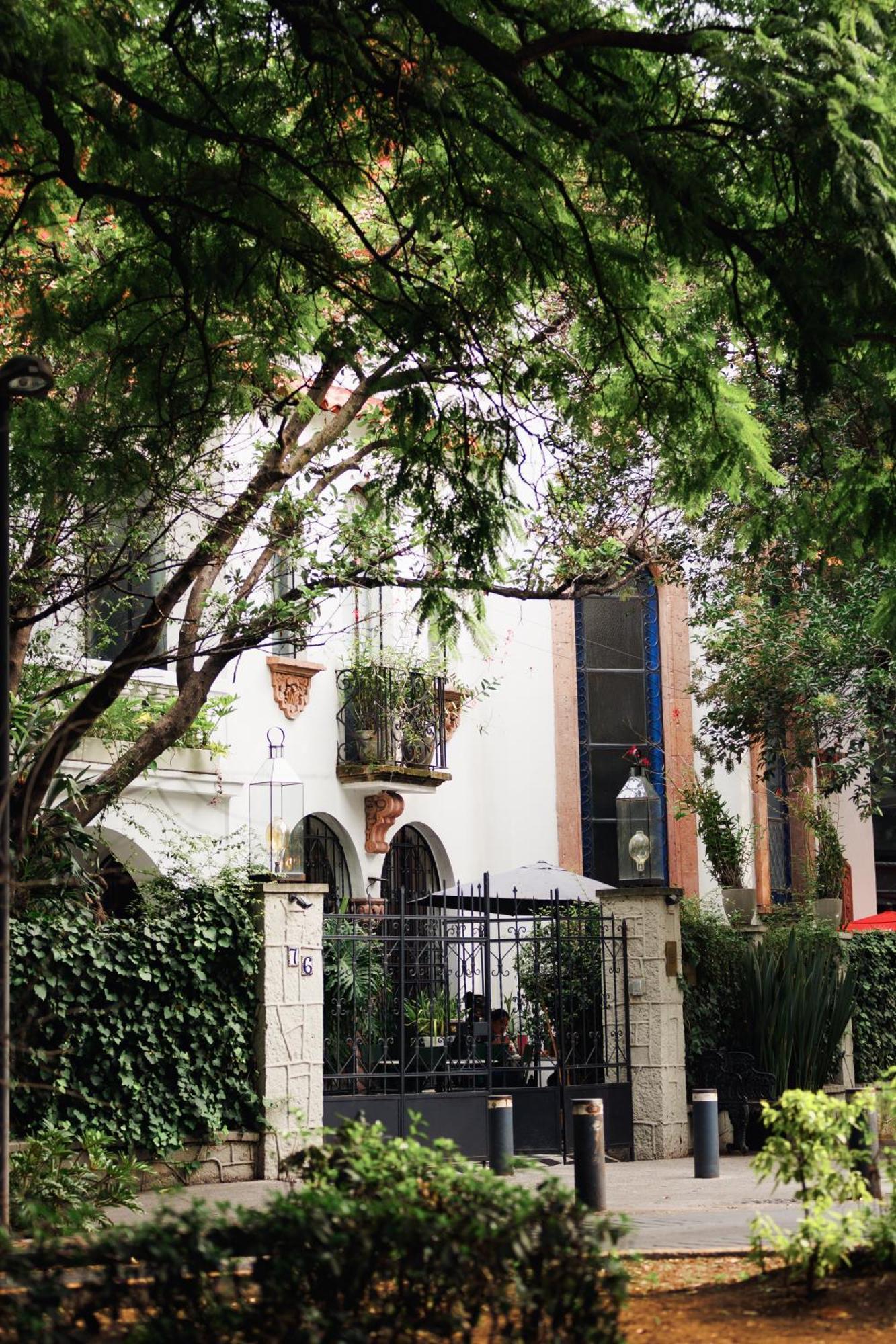 Orchid House Polanco Ξενοδοχείο Μεξικό Εξωτερικό φωτογραφία