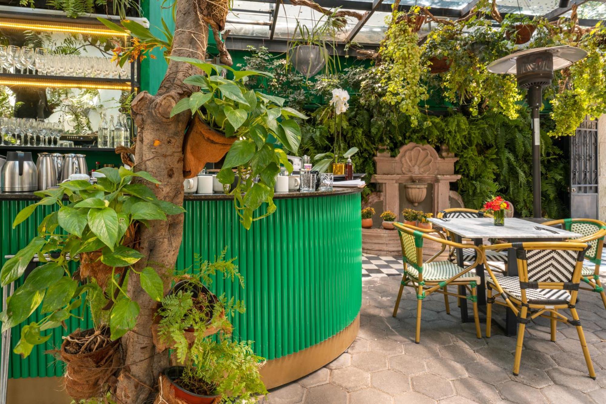 Orchid House Polanco Ξενοδοχείο Μεξικό Εξωτερικό φωτογραφία